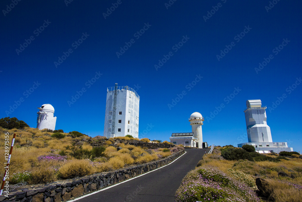 Observatory Observatory