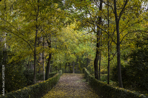 Parque de El Retiro, Madrid, España