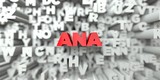 ANA -  Red text on typography background - 3D rendered royalty free stock image. This image can be used for an online website banner ad or a print postcard.