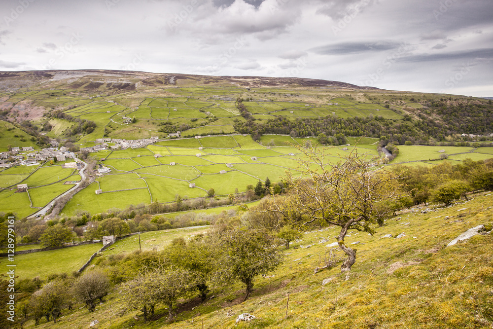 Obraz premium Yorkshire Dales landscapes