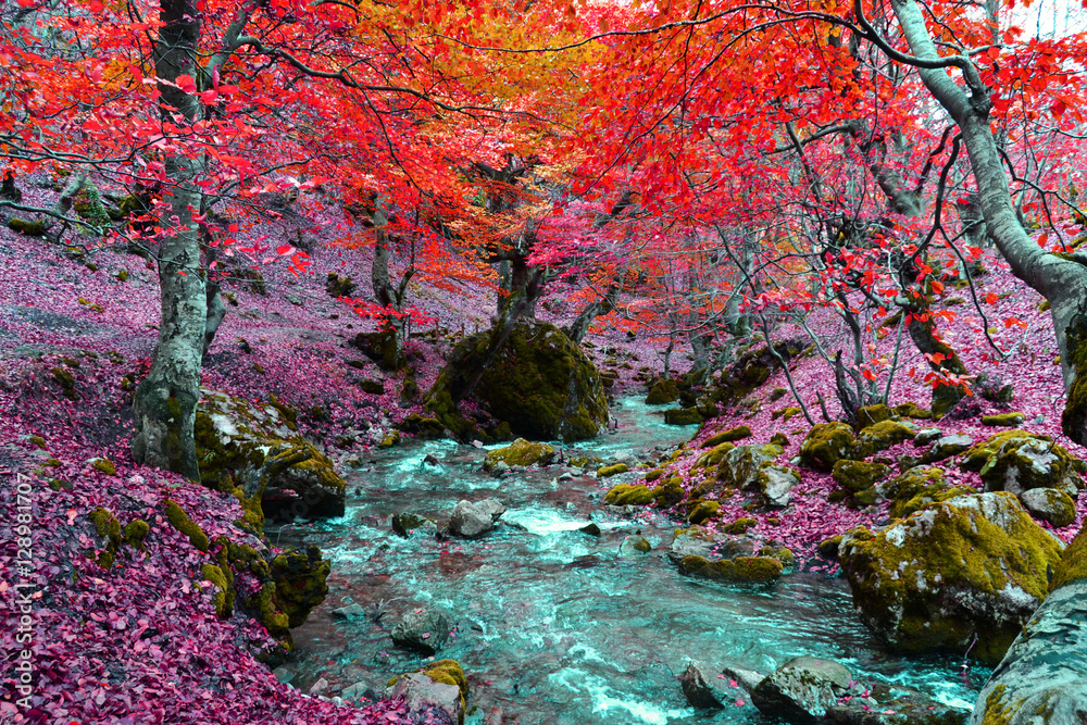 Bosque encantado púrpura