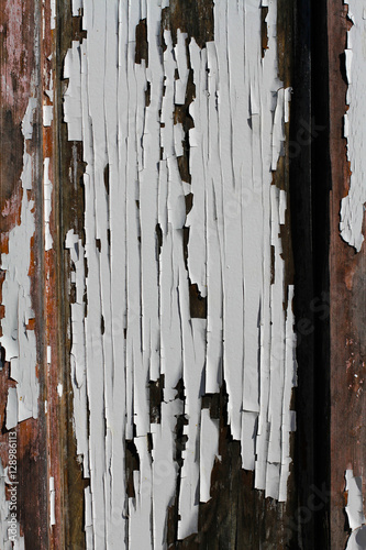Old white paint with cracks on the wooden wall