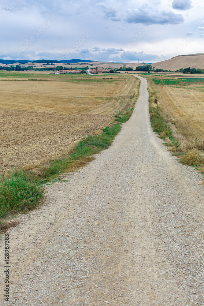 Fototapeta premium Road in Spain
