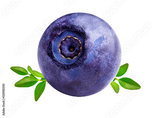 Slika na platnu bilberry blueberries isolated on white