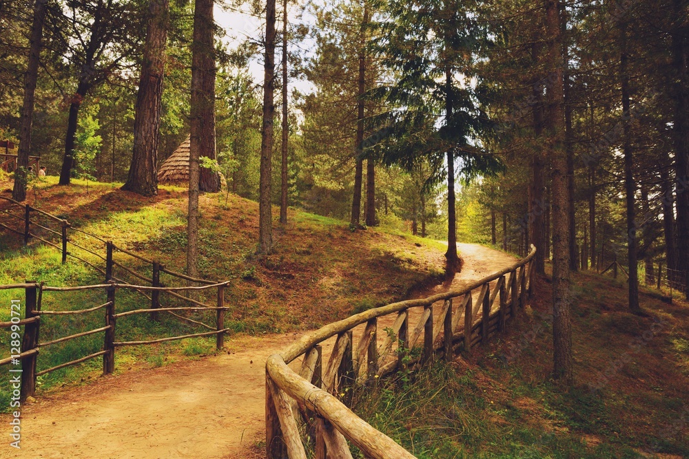 Sentiero escursionistico nel Parco Nazionale della Sila, regione Calabria IT Sentiero escursionistico nel Parco Nazionale della Sila, regione Calabria IT