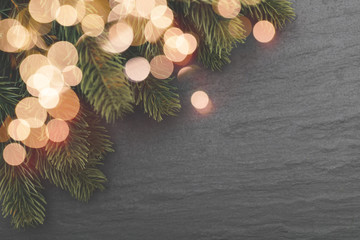 Christmas fir branches and lights