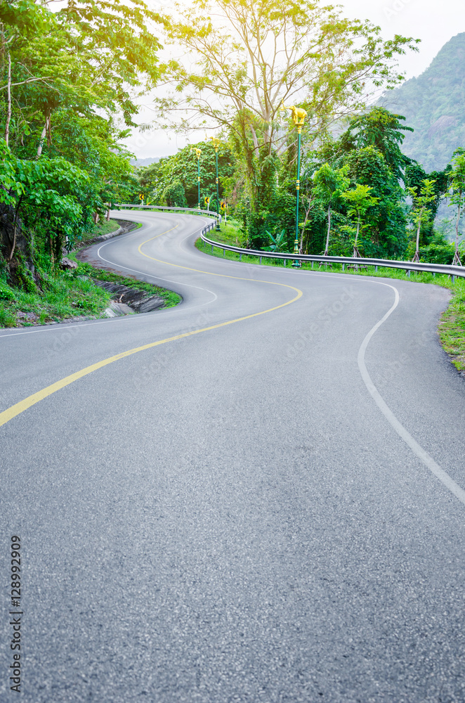 An empty S-Curved road on skyline drive.