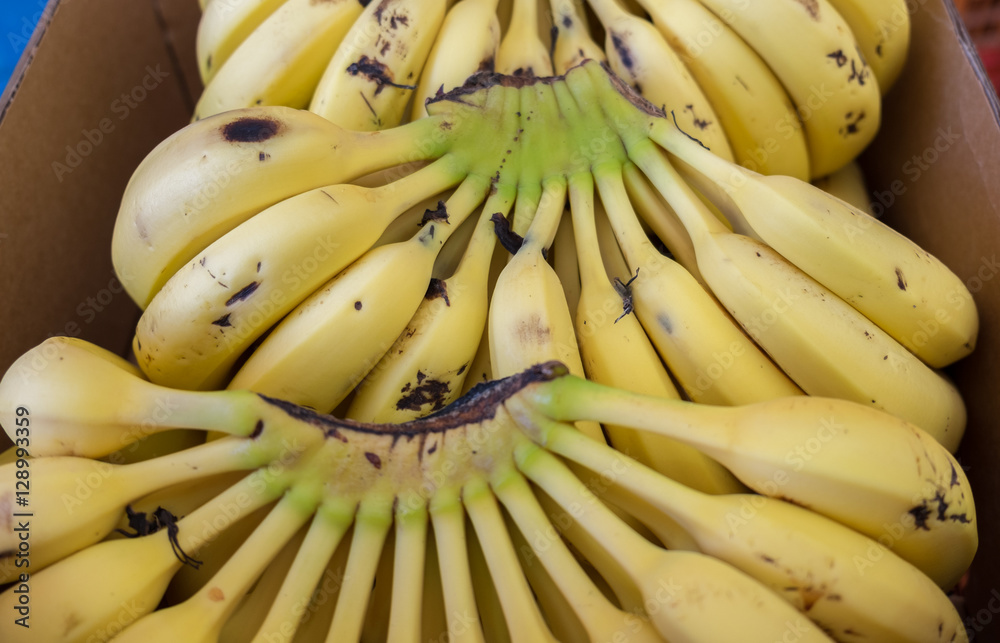 fresh bananas fro sale at city market