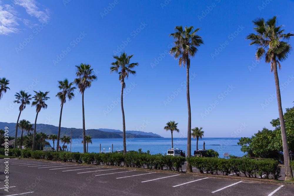 Fototapeta premium 大浜海浜公園