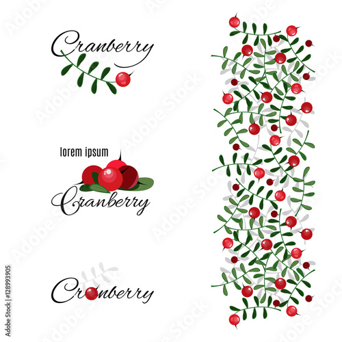 Stylized cranberry labels isolated on a white background. Cute lingonberry icons and ornamental element for your design. Cranberry theme set. Vector illustration