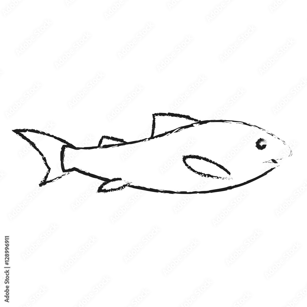 Fish icon. Sea life ecosystem fauna and ocean theme. Isolated design. Vector illustration