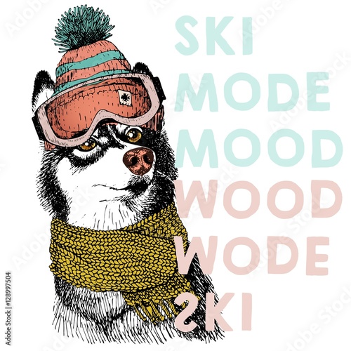 Vector poster with close up portrait of siberian husky dog.Ski mode mood. Puppy wearing beanie, scarf and goggles. Hand drawn illustration.Use for sport shop, resort, ski-rent promotion, print design.