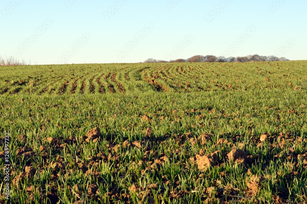 Field plowed fresh with Field plowed fresh with