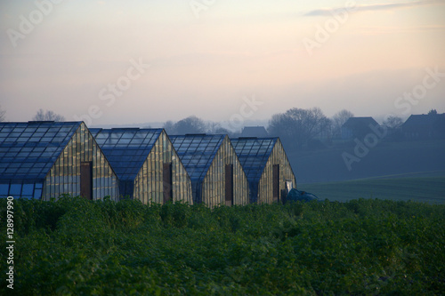 Belgian greenhouses in overijse during sunrise