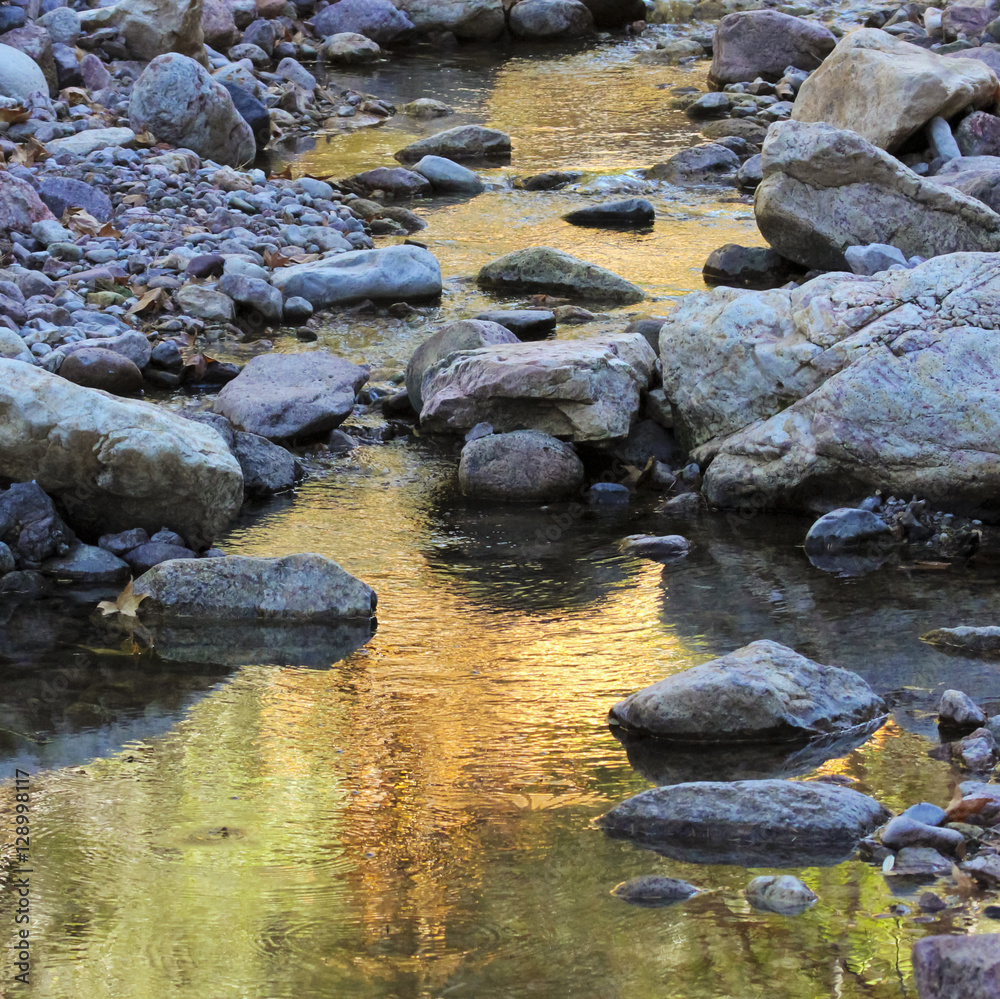 Fototapeta premium A Creek Reflects the Greens and Golds of Fall