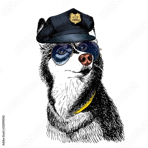 Vector close up portrait of police dog. Siberian husky wearing the peak cap and sunglasses. Hand drawn domestic pet dog illustration. Isolated on white background.
