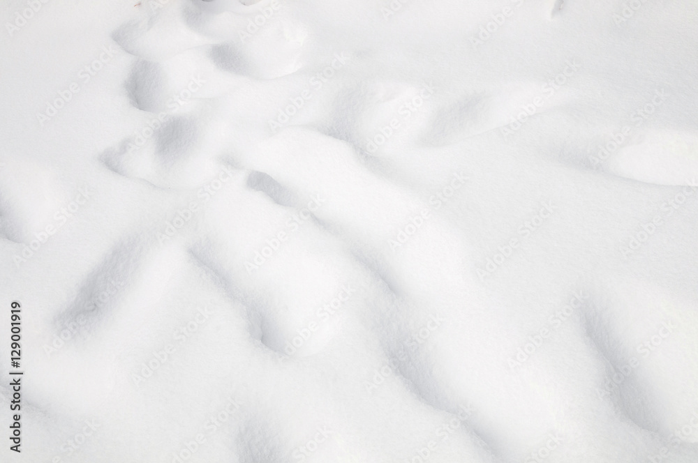 Fototapeta tło tekstury świeżego śniegu w odcieniu niebieskim