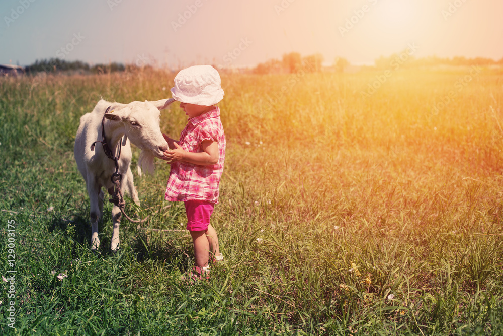 Little girl child with white goat outdoor. Summer meadow, childhood in nature