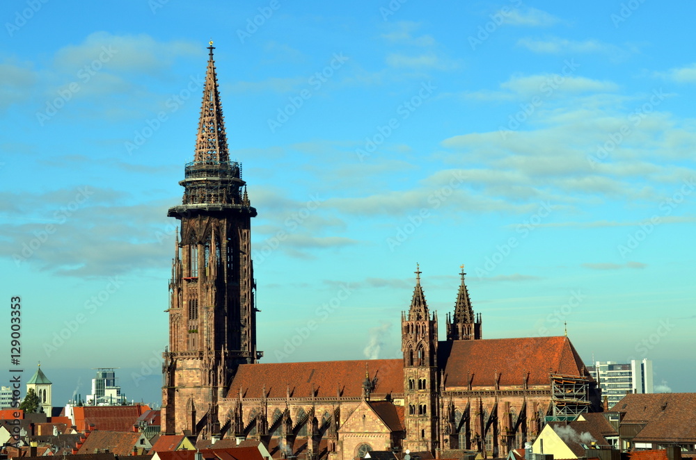 Fototapeta premium Freiburger Münster