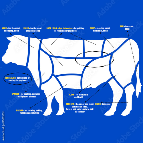 diagram of cuts of beef