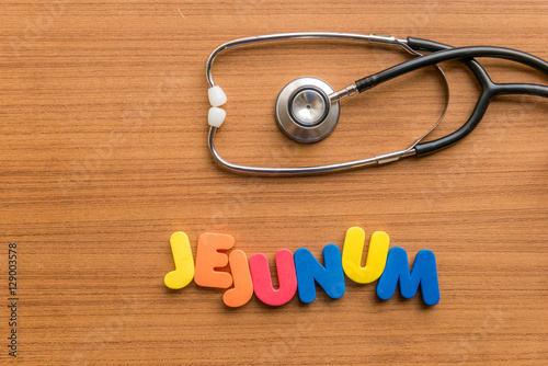 jejunum colorful word photo