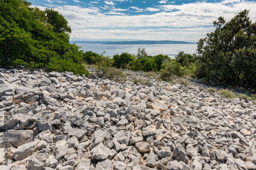 Close up from gravel path