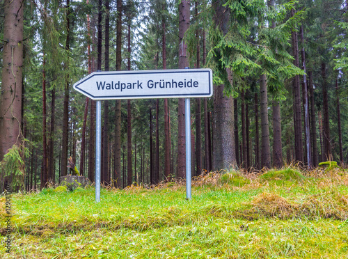 Waldpark Grünheide im Vogtland photo