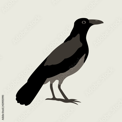 Crow vector illustration style Flat