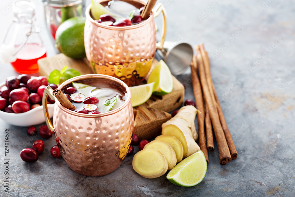 Φωτογραφία Moscow mule cocktail with ginger and cranberry