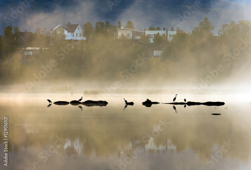 Morning fog on the lake.Tromso.Norway © belov3097