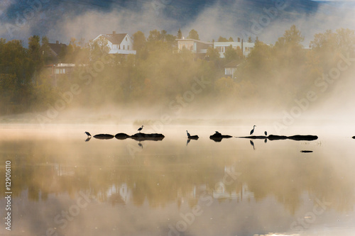 Morning fog on the lake.Tromso.Norway © belov3097
