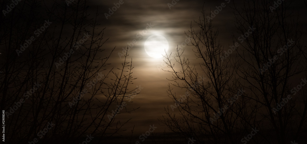 Naklejka premium fullmoon