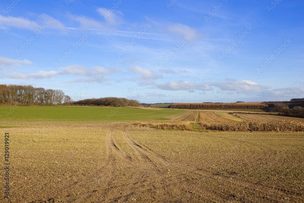 yorkshire wolds farming landscape yorkshire wolds farming landscape