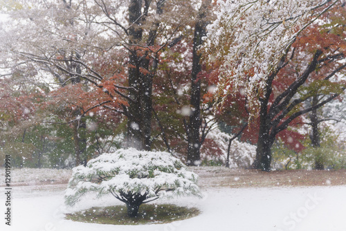 初雪に彩られた東京の和風庭園　その4