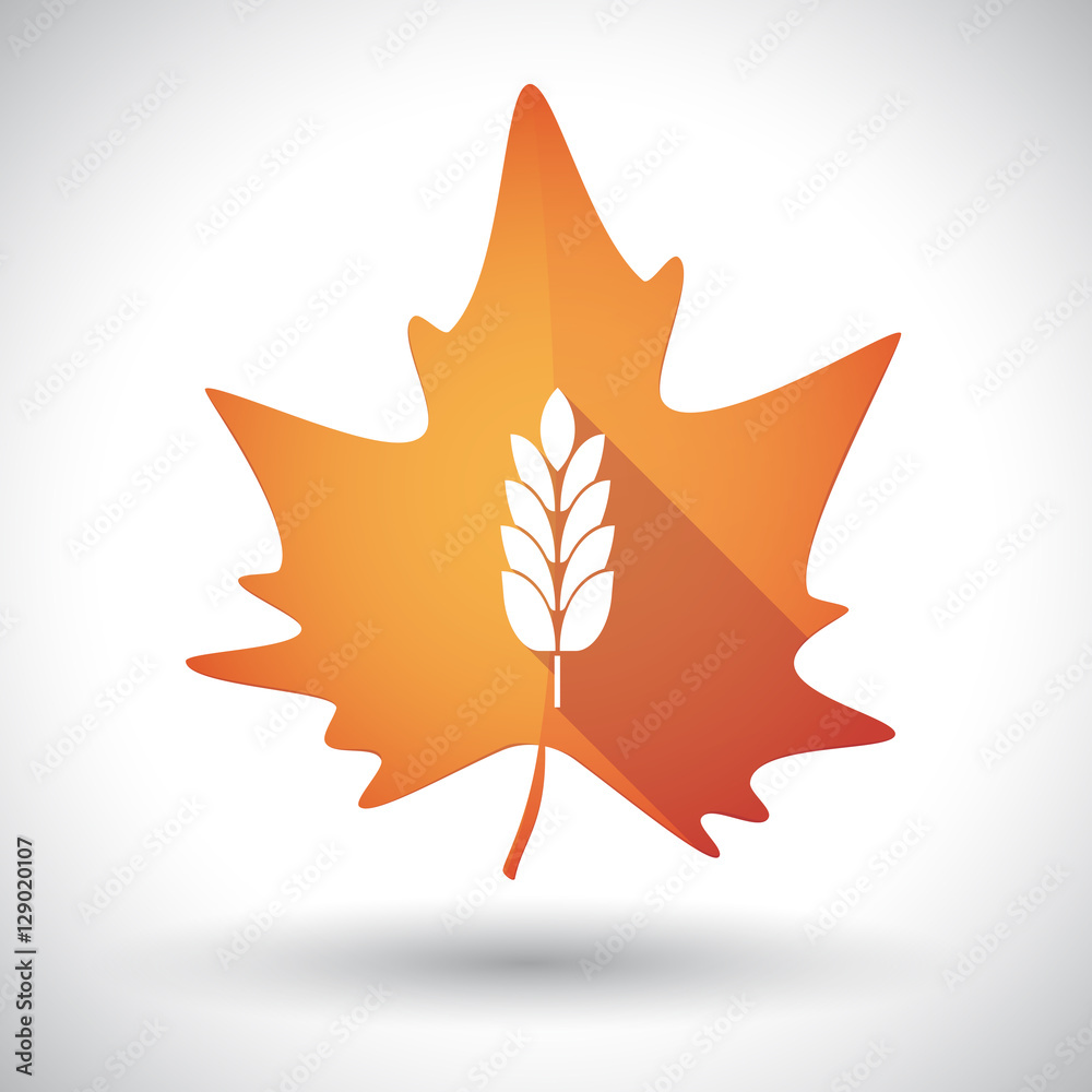 Isolated orange leaf with a wheat plant icon Isolated orange leaf with a wheat plant icon