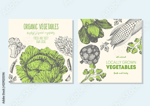 Vegetables vintage design template. Square banners set. Hand-drawn vector illustration