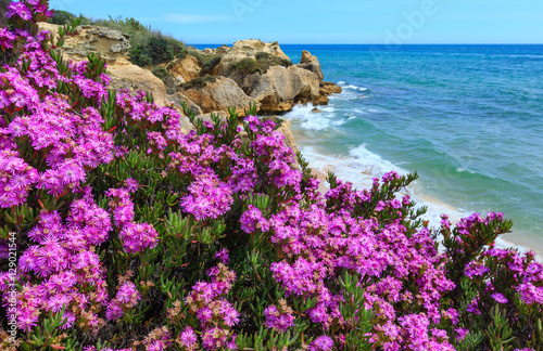 Atlantic blossoming coast view (Algarve, Portugal).