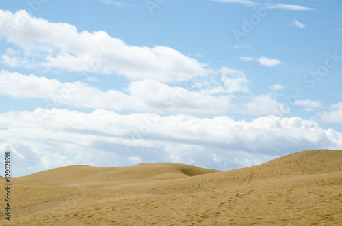 Dunes skyline