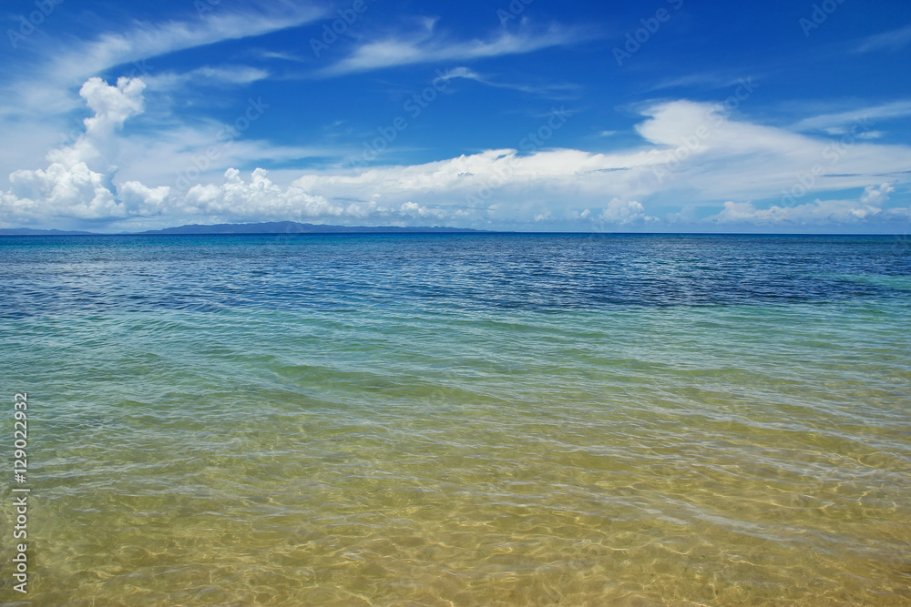 Clear water along the shore of Taveuni Island, Fiji