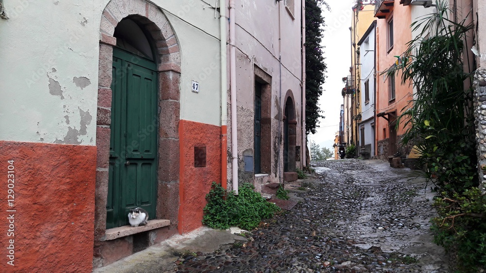 Fototapeta premium colorful streets of Bosa, little historical town in Sardinia