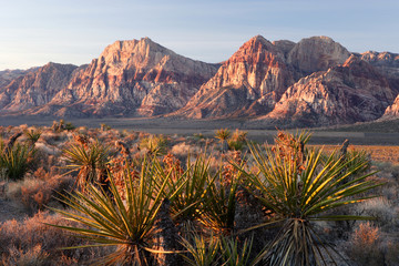 Papier peint photo Pantone 2025 Mocha Mousse Morning at Red Rocks  © Eric