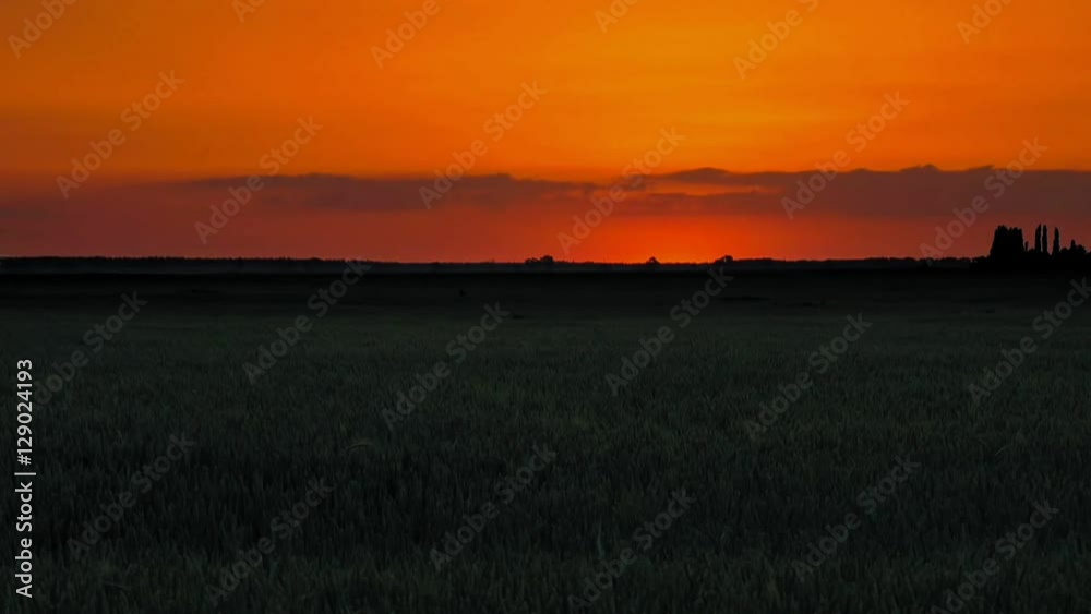 Sunset over nature lawn field with moving orange and red clouds. Timelapse very fast motion. Sunset over nature lawn field with moving orange and red clouds. Timelapse very fast motion.