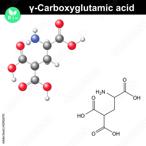Carboxyglutamic acid molecule