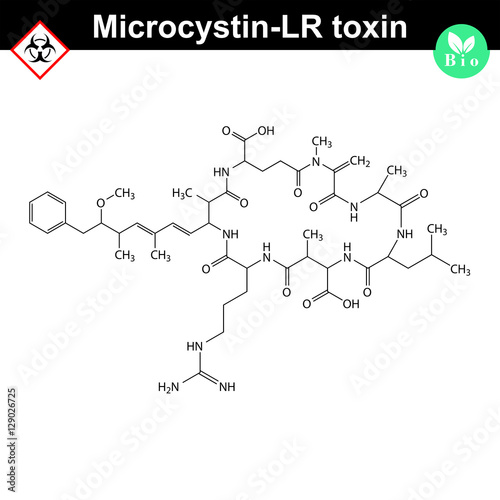 Microcystin LR cyanobacterial toxin photo