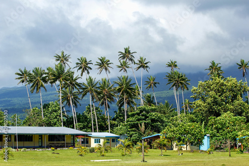 Typical fijian house in Lavena village on Taveuni Island, Fiji © donyanedomam