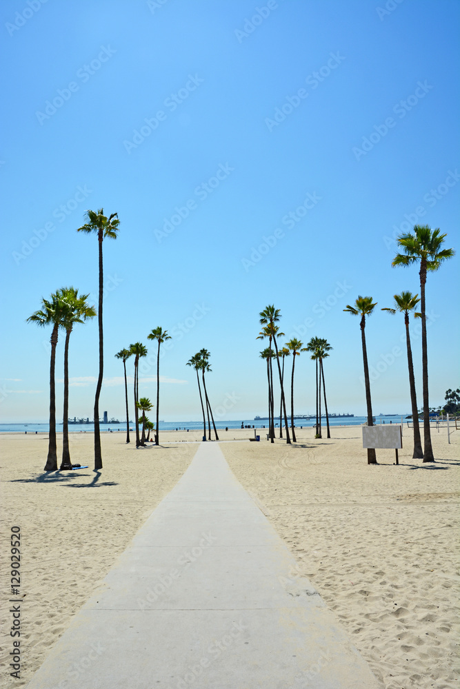 Obraz premium Long beach in California, USA