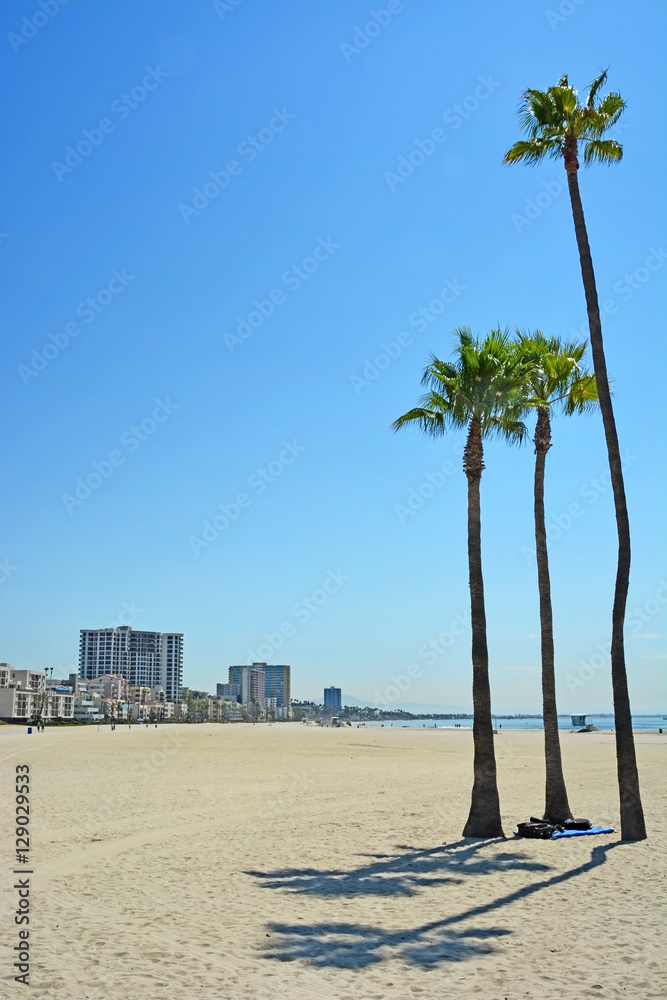 Obraz premium Long beach in California, USA