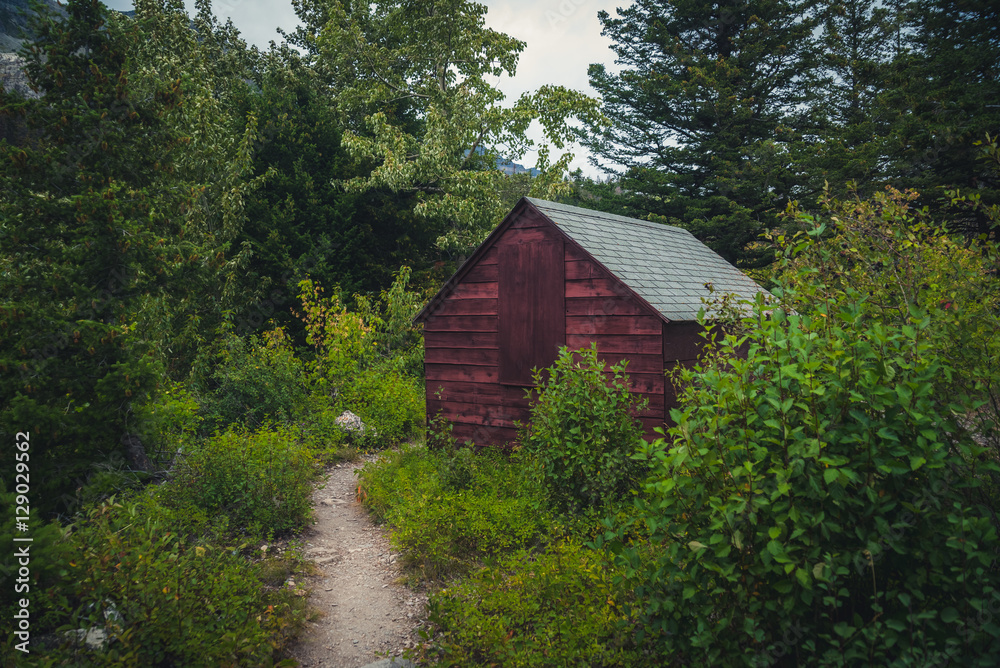 Hiking trail behind an old shack.