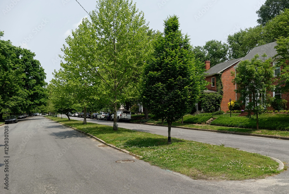 Residential neighborhood homes, median strip, trees, and street. Focus on median strip with trees.