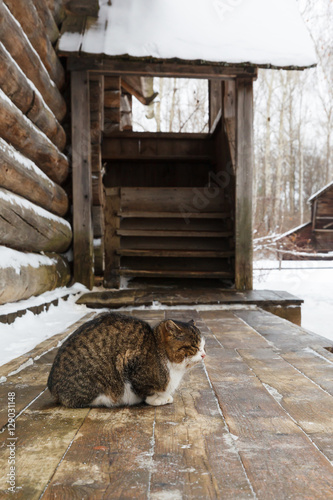 Fototapeta Naklejka Na Ścianę i Meble -  Traditional rural wooden house in winter
